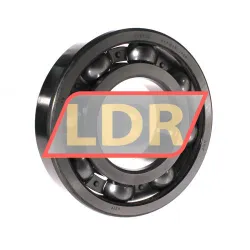 SKF 6319