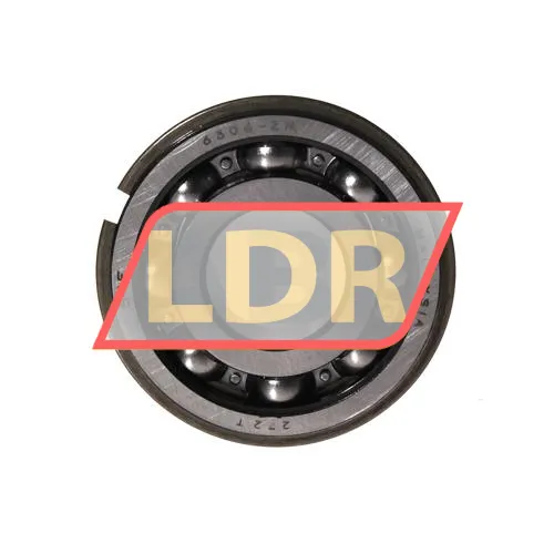SKF 6306-ZNR