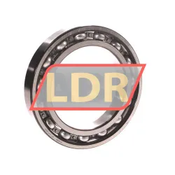SKF 6020/C3