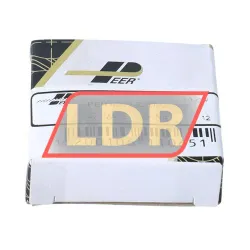 Peer PER-6202-ZZDV2 rulman resim 3