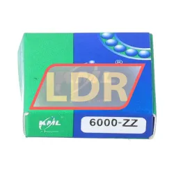 Keep Moving Long 6000ZZ rulman resim 3