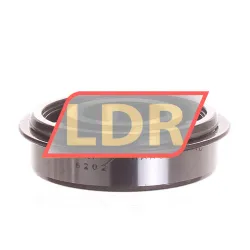 SKF 6202NR
