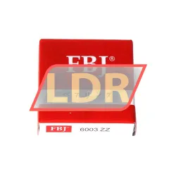 FBJ 6003ZZ rulman resim 3