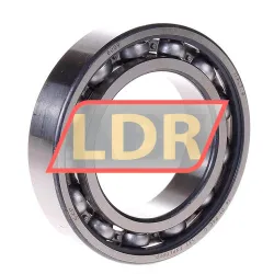 SKF 6009