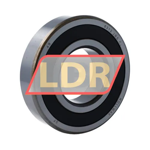 Rollway 6313 2RS