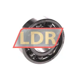 SKF 16002/C3
