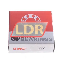Bing Netherlands 6006 rulman resim 4
