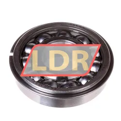 SKF 306NR