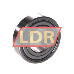 ZKL 6003Z rulman resim 2
