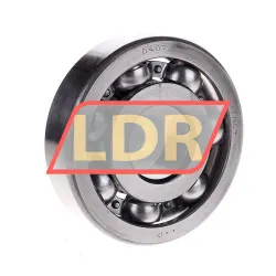 SKF 6407