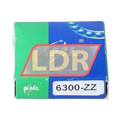 Keep Moving Long 6300ZZ rulman resim 3