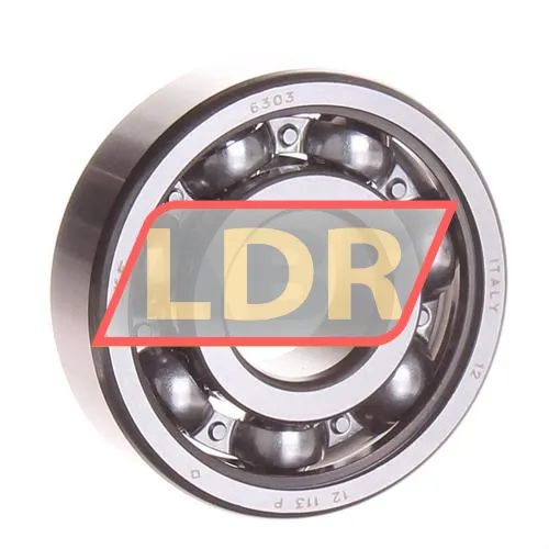 SKF 6303
