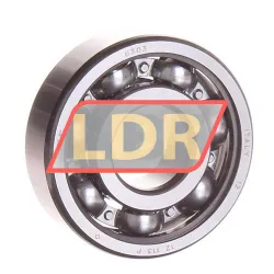 SKF 6303