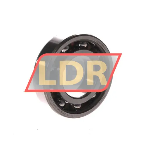 SKF 6206TN9/C4VT925
