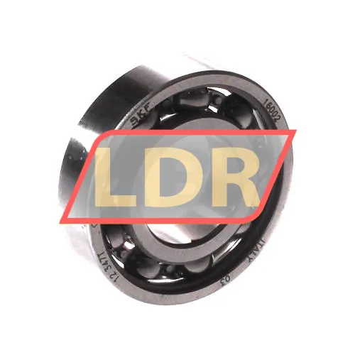 SKF 16002
