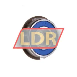 Neutral 6202 2RS NR
