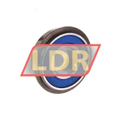 Neutral 6202 2RS NR rulman resim 2