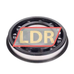 SKF 6213-ZNR rulman resim 2