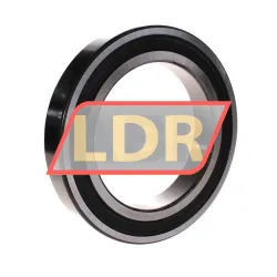 SKF 6028-2RS1