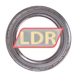 SKF 6020-Z