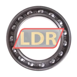 SKF 6020-Z rulman resim 2