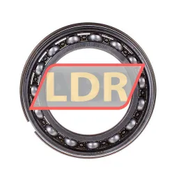 SKF 6013NR rulman resim 2