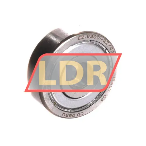 SKF E2-6300-2Z/C3