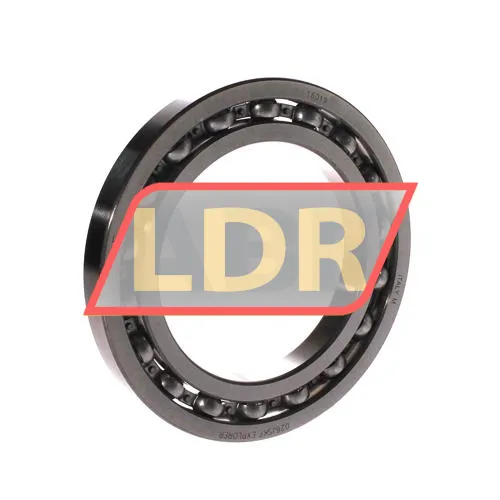 SKF 16019