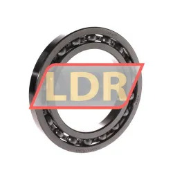 SKF 16019