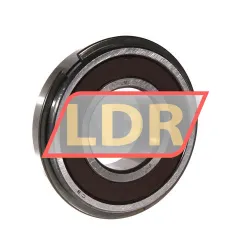 Neutral 6206DDUNRC3 rulman resim 2