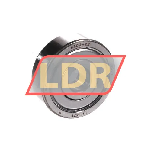 SKF 6300-2Z