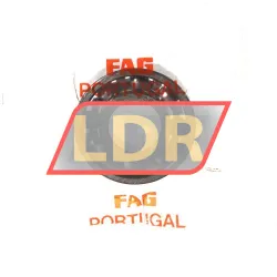 FAG 6001
