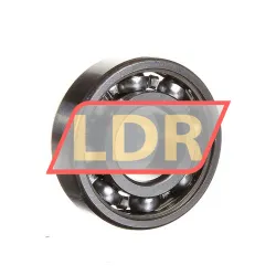 SKF 6204/C4