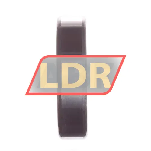 SKF 6006-2RS1 ürün fotoğrafı 2