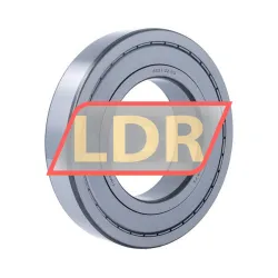 Timken 6221-ZZ-C3