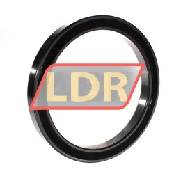 SKF 61828-2RS1