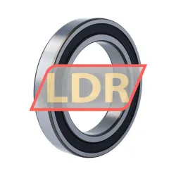 SKF 6020-2RS1/C4 rulman resim 2