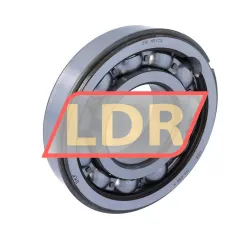 SKF 310NR/C3