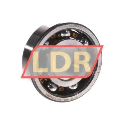 SKF 6305TN9/C4