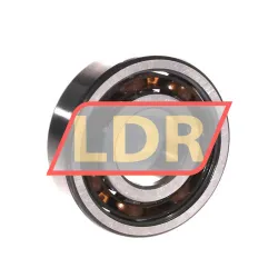 SKF 6305TN9/C4 rulman resim 2