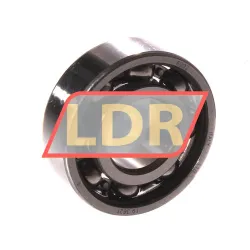 SKF 6202