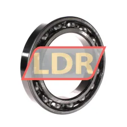 SKF 6024