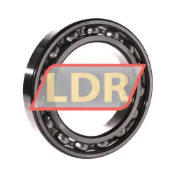 SKF 6021/C3