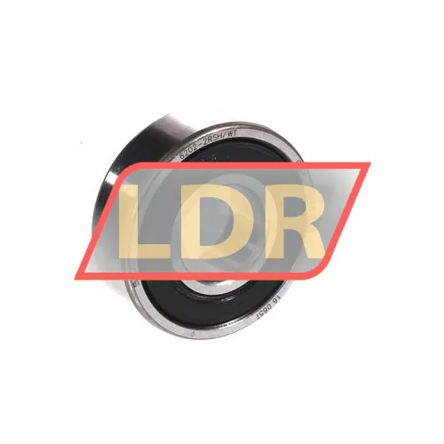 SKF 6202-2RSH/WT