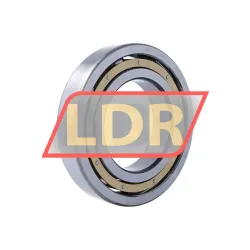 SKF 6224M/C3