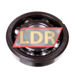 SKF 6309-ZNR