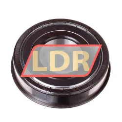 SKF 6309-ZNR rulman resim 2