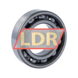SKF 6006-Z rulman resim 2