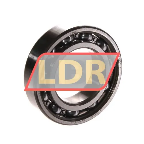 SKF 6006