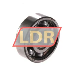 SKF 6000